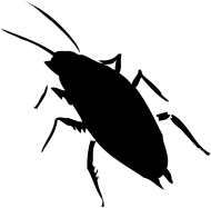 Kara
