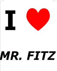 i love MR. FITZ