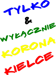 Bluzka Fana Naszej Stronki