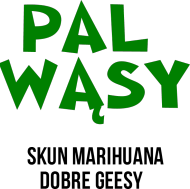 Pal Wąsy