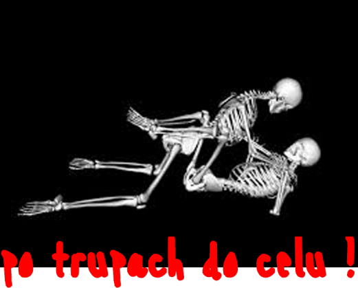 Po trupach do celu