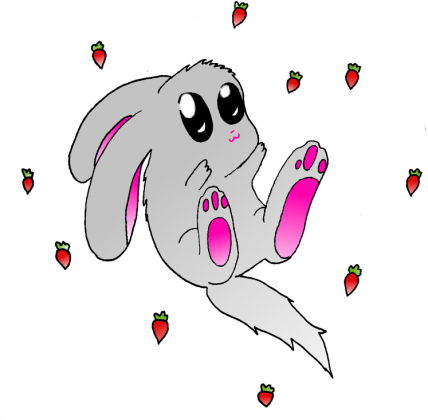Bunny shirt bez spirali WSZYSTKIE KOLORY