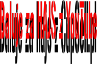 Bluza - Baluje Za HAJS