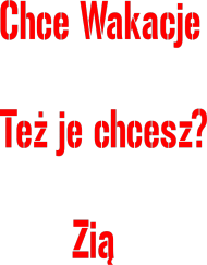 Koszulka - Męska - Chce Wakacje