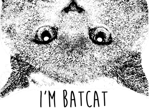 I'm BatCat