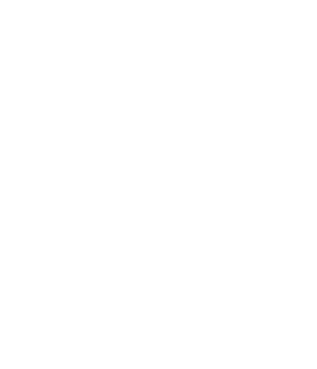Oficer Bezpieczeństwa