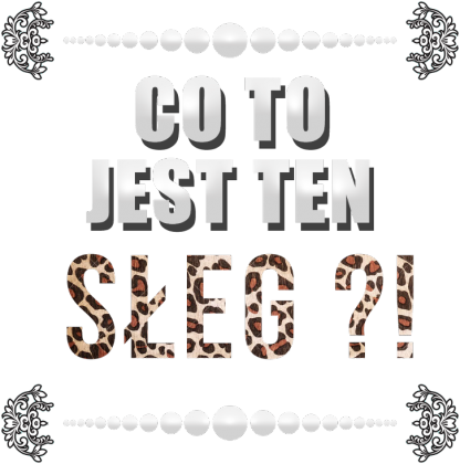 SŁEG T-Shirt MĘSKI
