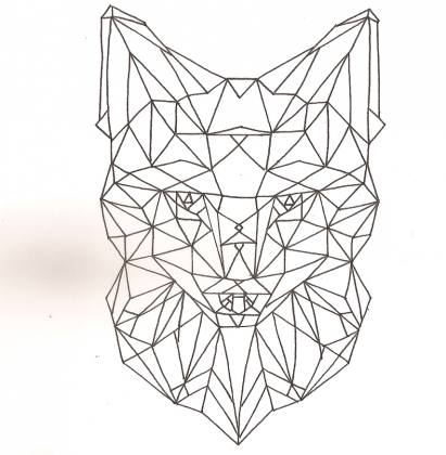 Geometric fox