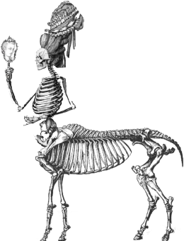 markiza