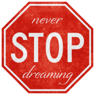 T-Shirt męski - STOP