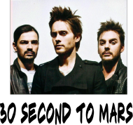 Torba, 30stm