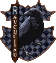 Bluza Harry Potter Ravenclaw college