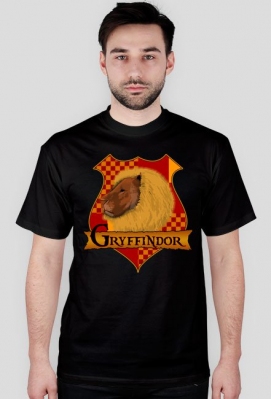 Koszulka Harry Potter Gryffindor - AqqShop
