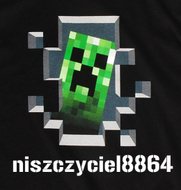 Koszulka niszczyciela