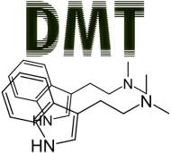 Dimetylotryptamina MEZCZYZNA
