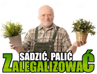 Męska Biała #4