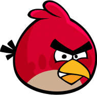 angry birds koszulka