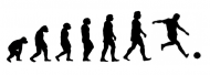 Evolution M