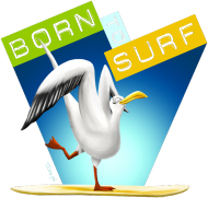 BORN to SURF