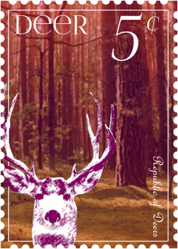 Jelonek DEER Znaczek - 3 KOLORY!