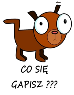 Oczy psa