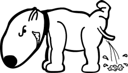 Animal