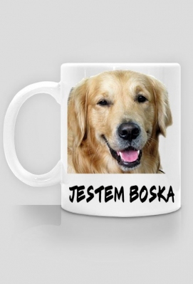 Golden retriever - Animal