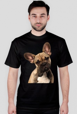 Buldog francuski - Animal