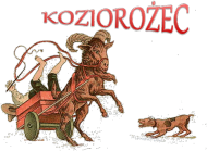koszulka męska znak zodiaku KOZIOROŻEC