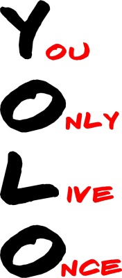 YOLO - nadruk