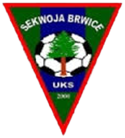 SEKWOJA BRWICE