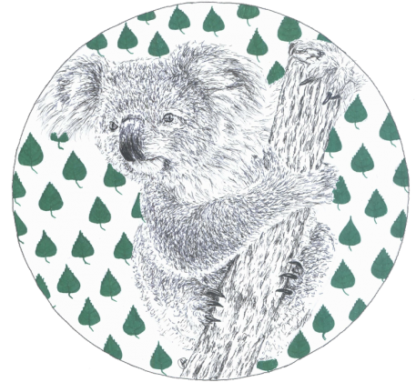 Koala