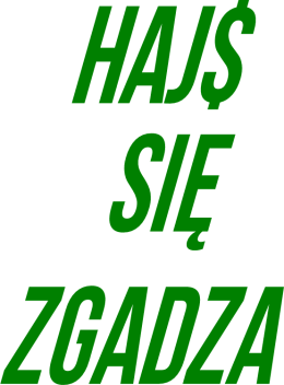 T-Shirt, Hajs się Zgadza, MODA