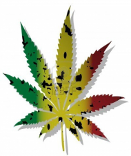 Kubek z Marihuaną