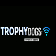 trophy dogs