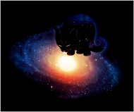 Galaxy Cat Black koszulka damska