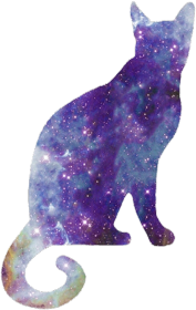 Galaxy Cat 2 black damska