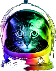 D13 Astro Cat