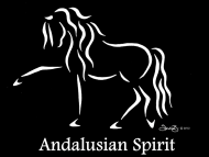 Andalusian Czarna Męska Koszulka