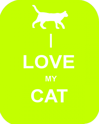 KOSZULKA / CAT
