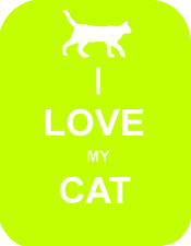 KOSZULKA / CAT