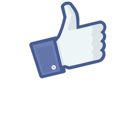 KOSZULKA / I LIKE MY PET