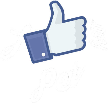 KOSZULKA / I LIKE MY PET