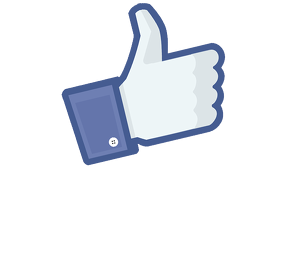 KOSZULKA / I LIKE MY PET