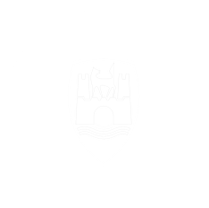 Bluza Vag Familia