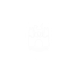 Bluza Vag Familia