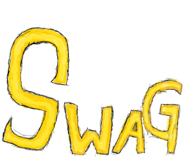 swag-bluza