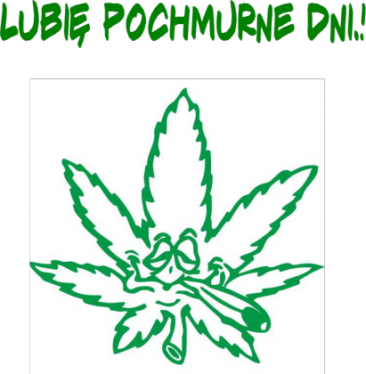Koszulka Lubię pochmurne dni