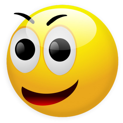 Koszulka damska z logo sklepu.