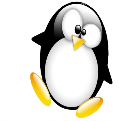 koszulka męska - pingwin